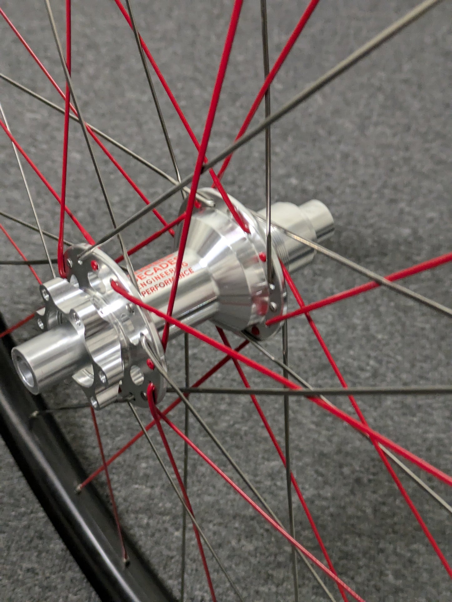 WE ARE ONE, DT240-DEG| 29" CARBON DH WHEELSET
