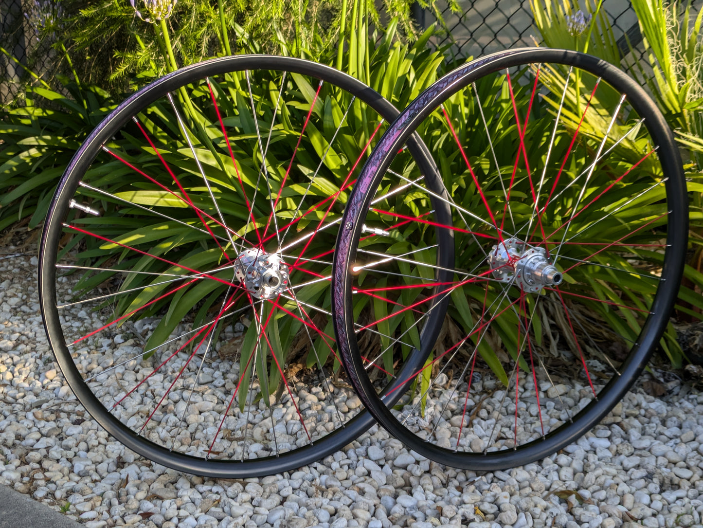 WE ARE ONE, DT240-DEG| 29" CARBON DH WHEELSET